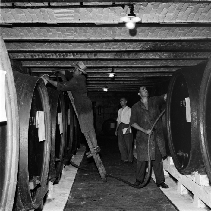 minerva_deak_f_c1_agrar-075