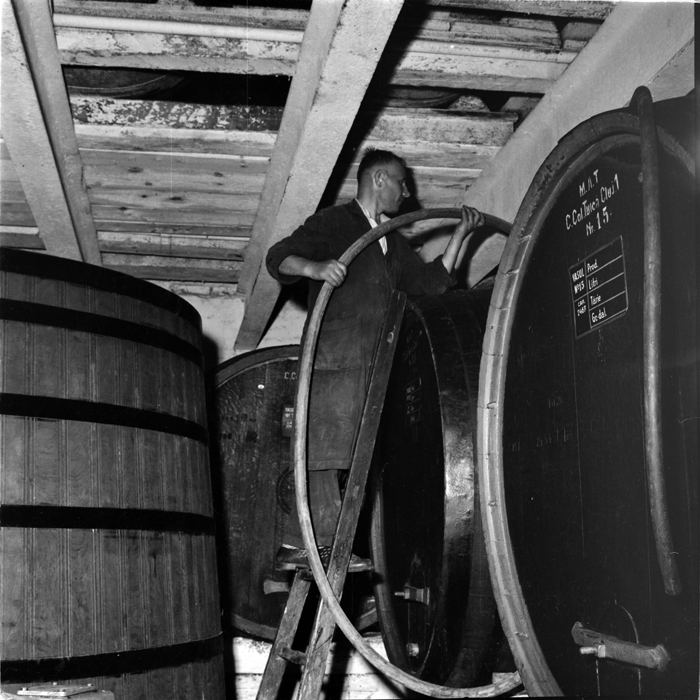 minerva_deak_f_c1_agrar-076