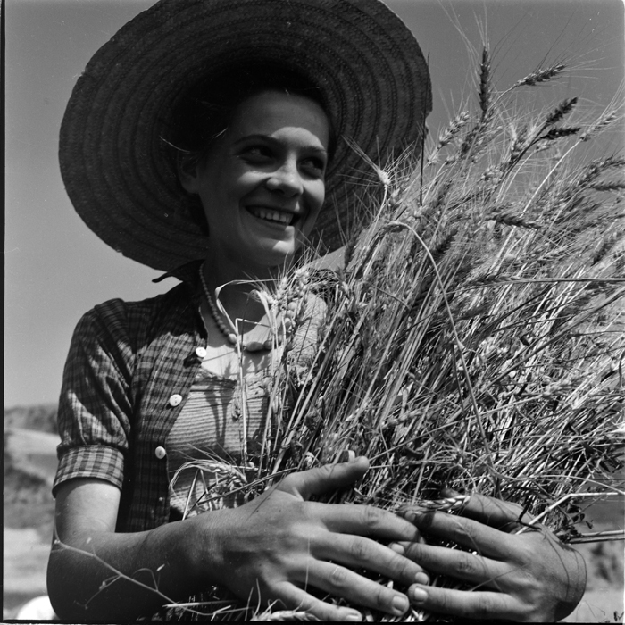 minerva_deak_f_c1_agrar-079