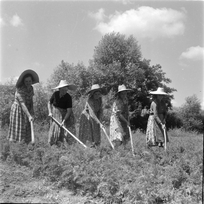 minerva_deak_f_c1_agrar-088