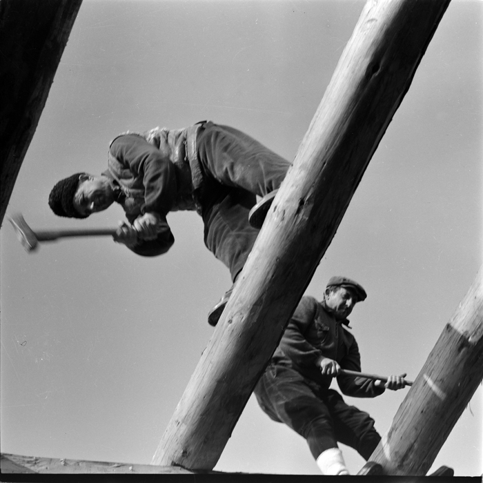 minerva_deak_f_c1_agrar-093