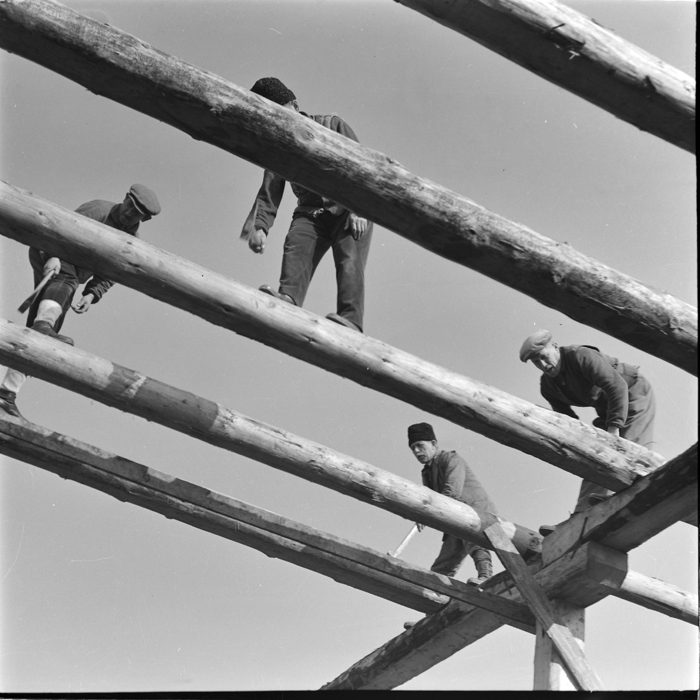 minerva_deak_f_c1_agrar-094