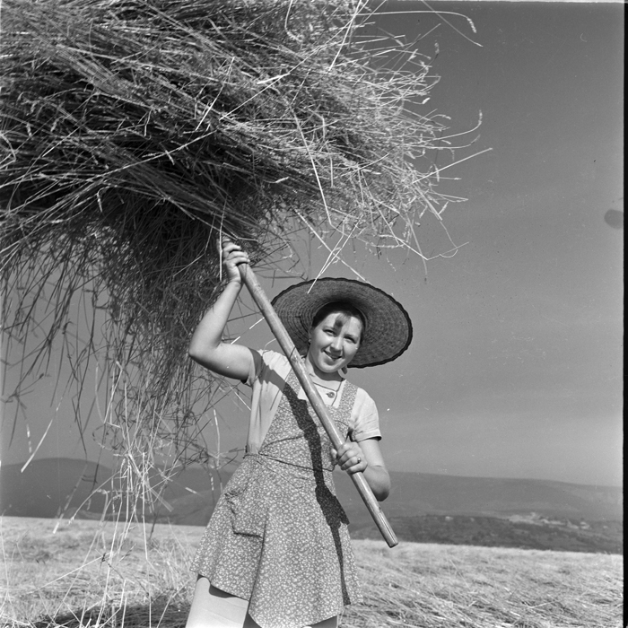 minerva_deak_f_c1_agrar-095