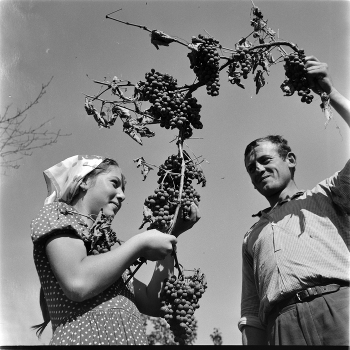 minerva_deak_f_c1_agrar-096