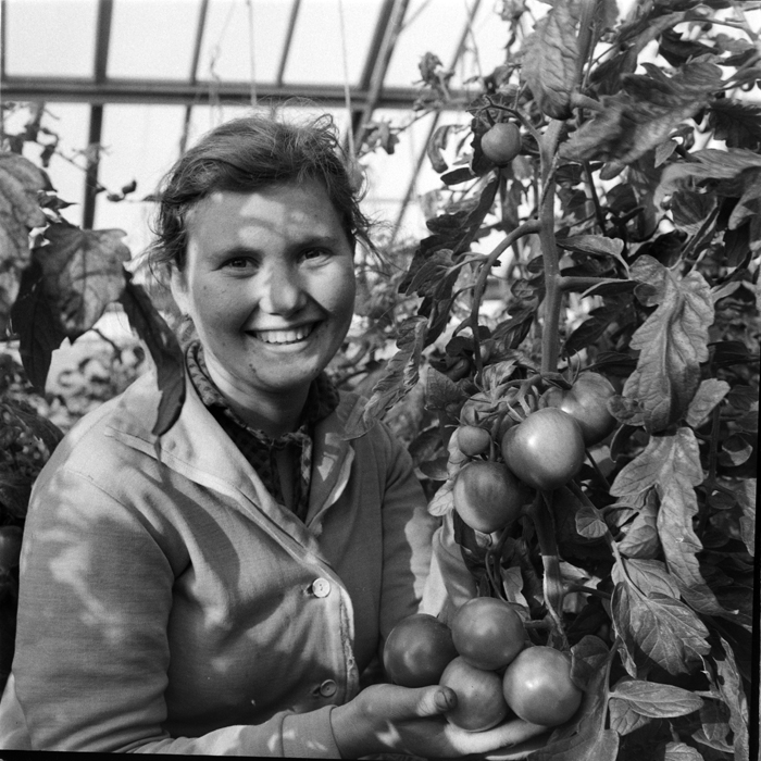 minerva_deak_f_c1_agrar-097