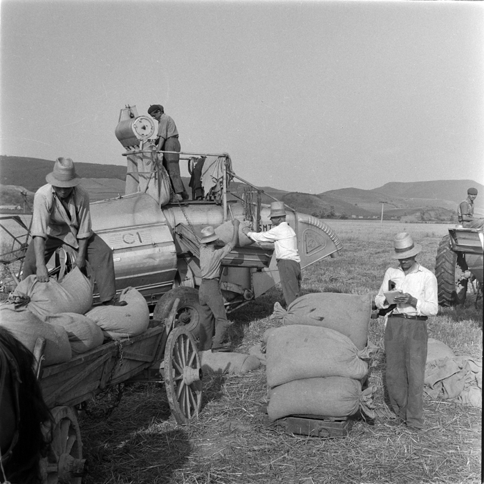 minerva_deak_f_c1_agrar-098