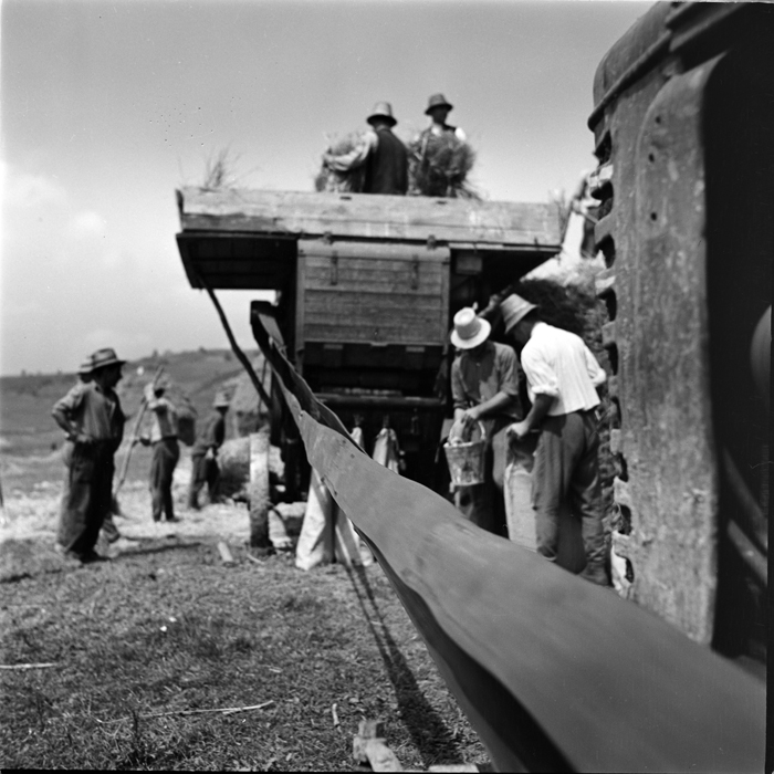 minerva_deak_f_c1_agrar-103