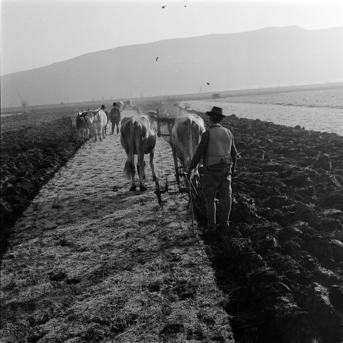 minerva_deak_f_c1_agrar-104