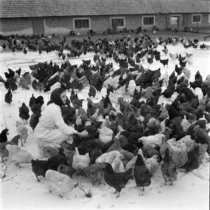 minerva_deak_f_c1_agrar-107