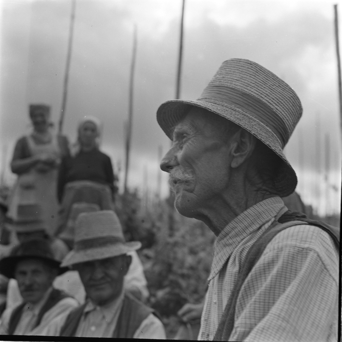 minerva_deak_f_c1_agrar-108