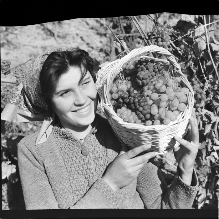 minerva_deak_f_c1_agrar-109