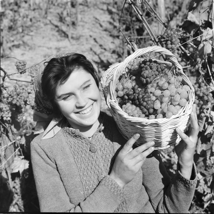 minerva_deak_f_c1_agrar-110