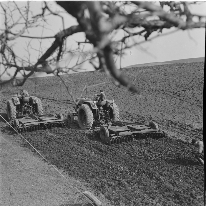 minerva_deak_f_c1_agrar-113