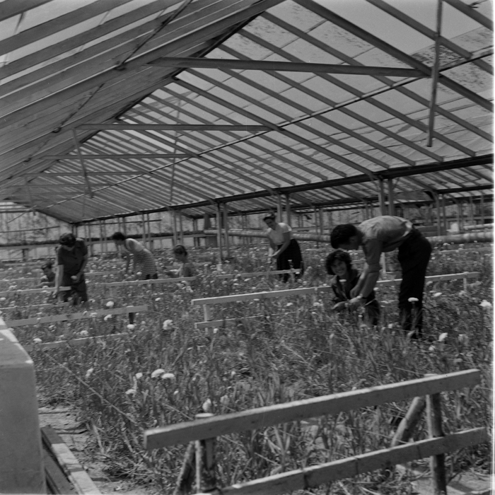 minerva_deak_f_c1_agrar-114