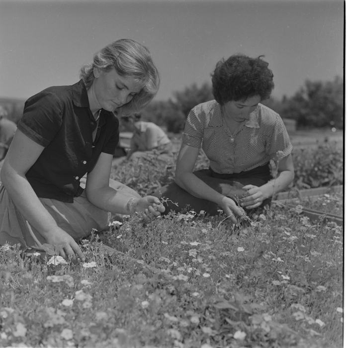 minerva_deak_f_c1_agrar-115