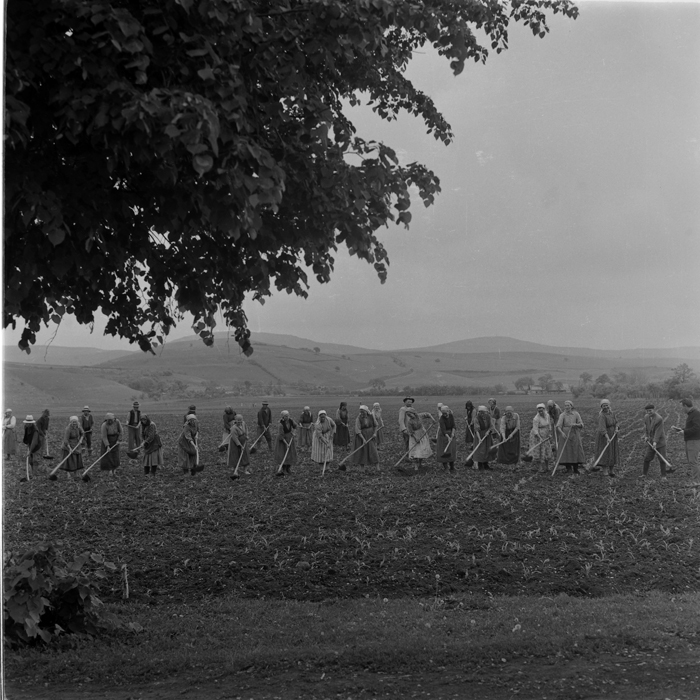 minerva_deak_f_c1_agrar-117