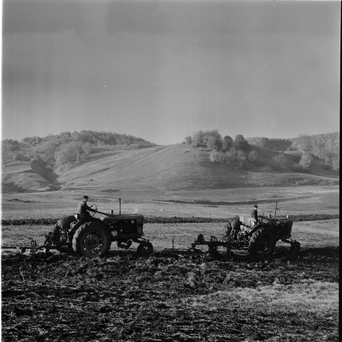 minerva_deak_f_c1_agrar-118