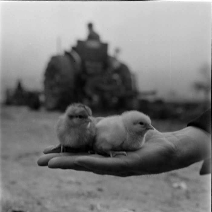 minerva_deak_f_c1_agrar-119