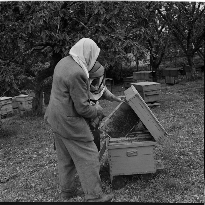 minerva_deak_f_c1_agrar-120