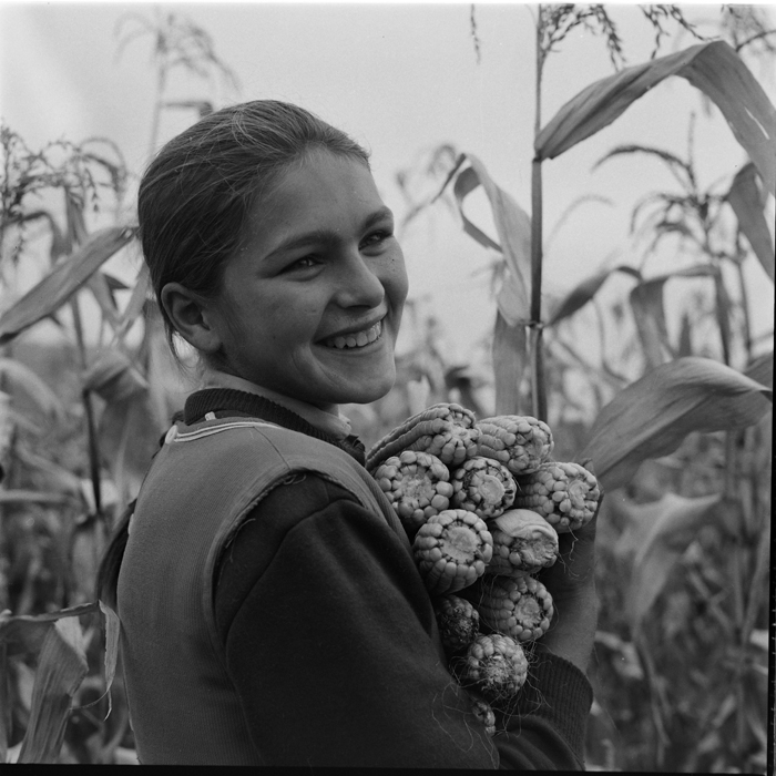 minerva_deak_f_c1_agrar-122