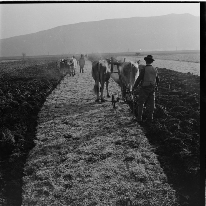 minerva_deak_f_c1_agrar-123