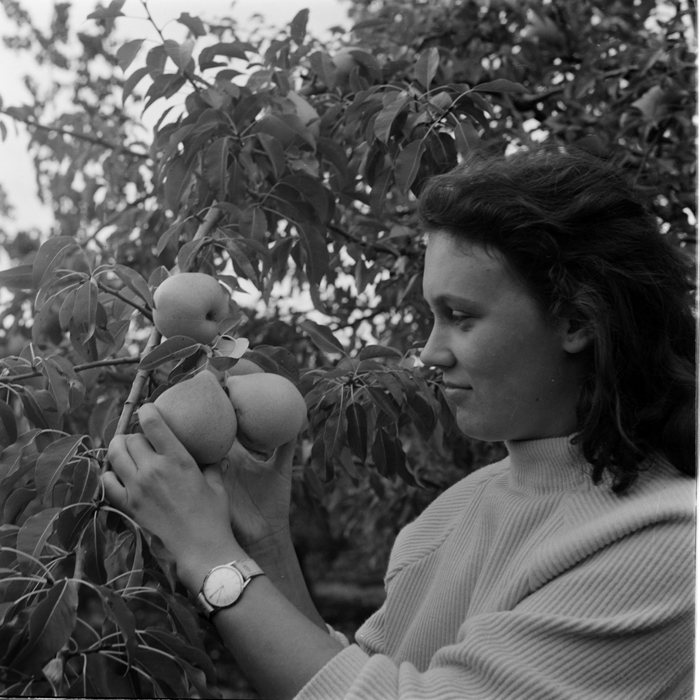 minerva_deak_f_c1_agrar-124