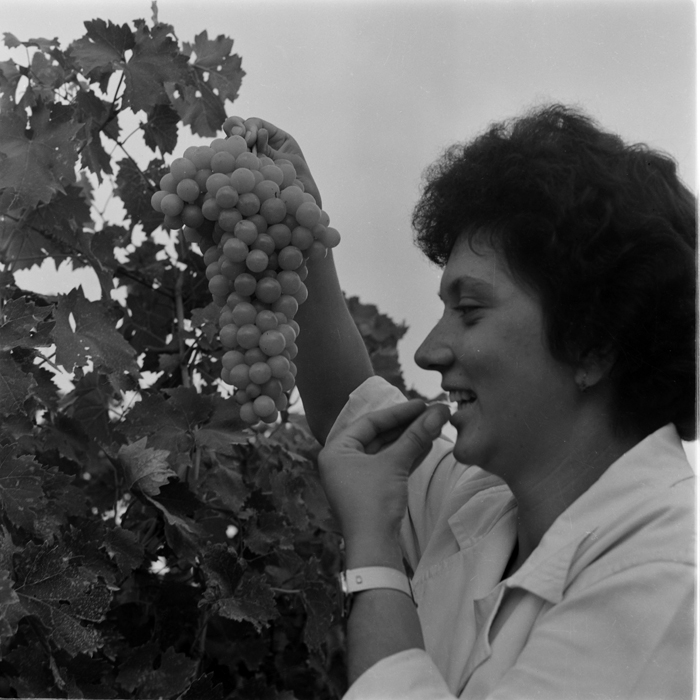 minerva_deak_f_c1_agrar-125