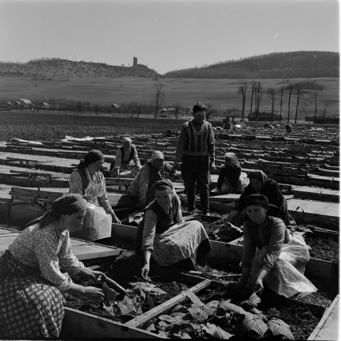 minerva_deak_f_c1_agrar-127