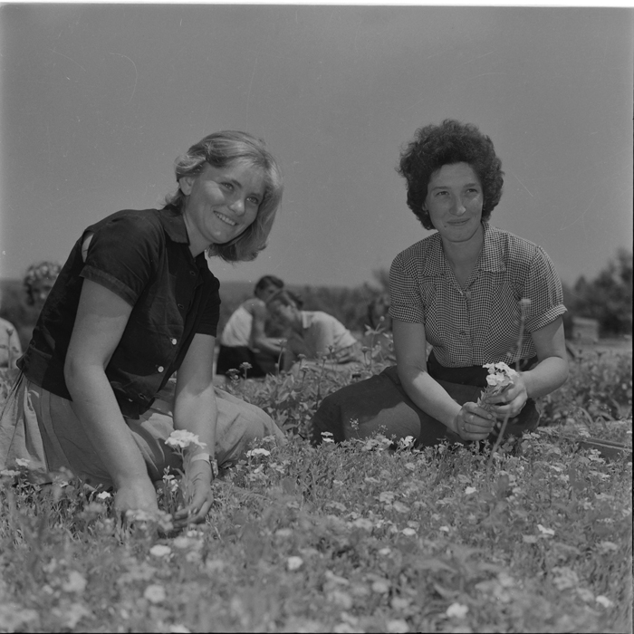 minerva_deak_f_c1_agrar-128