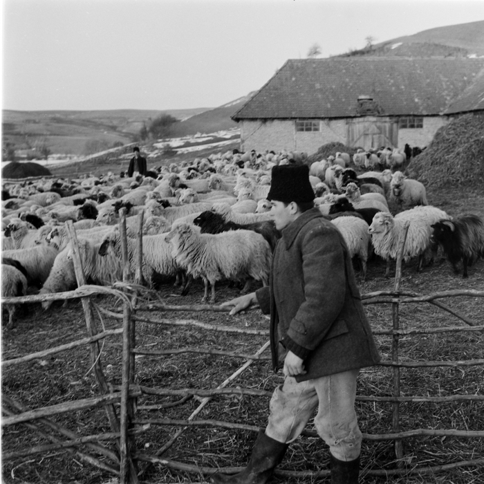 minerva_deak_f_c1_agrar-132