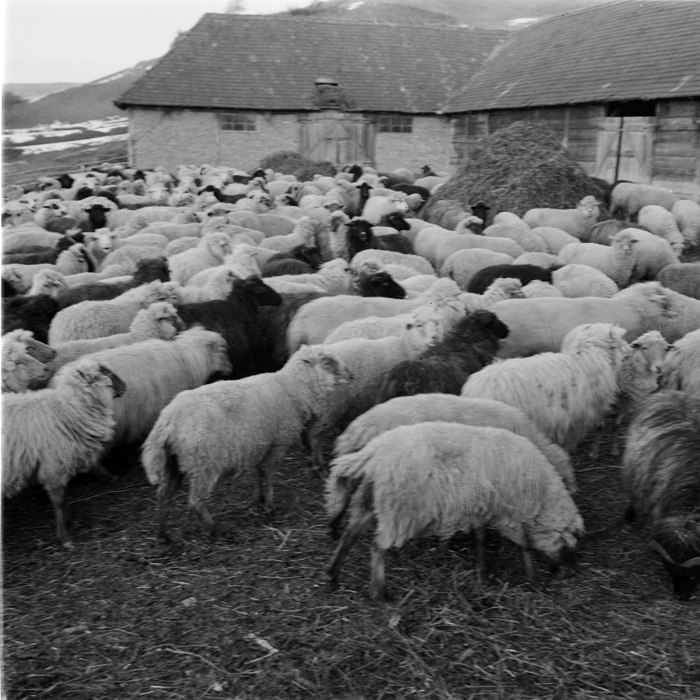 minerva_deak_f_c1_agrar-133