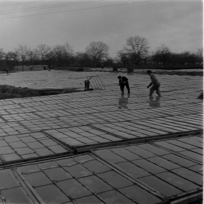 minerva_deak_f_c1_agrar-134