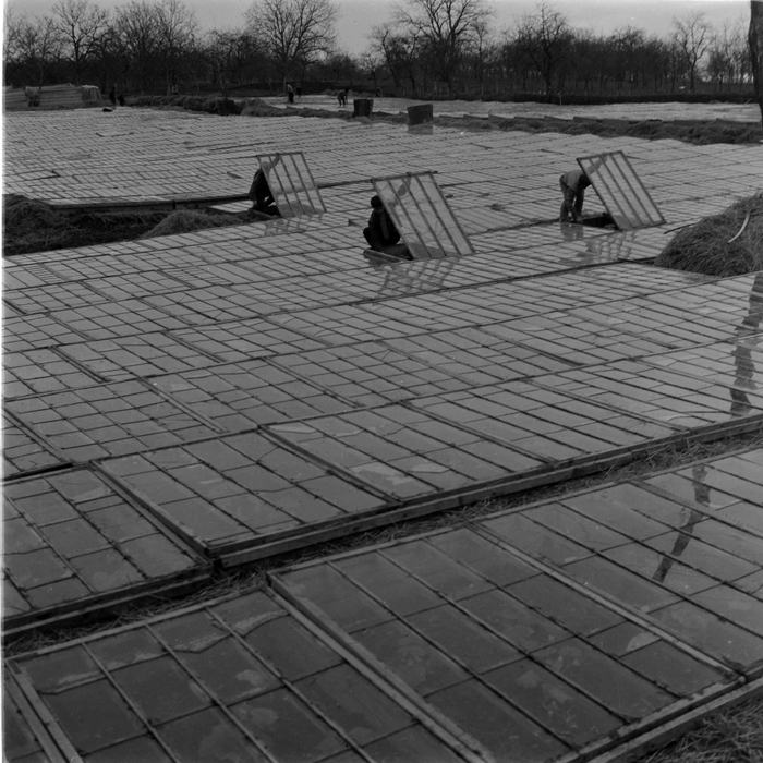 minerva_deak_f_c1_agrar-135