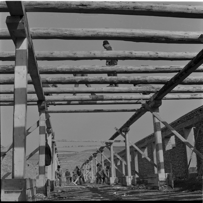 minerva_deak_f_c1_agrar-136