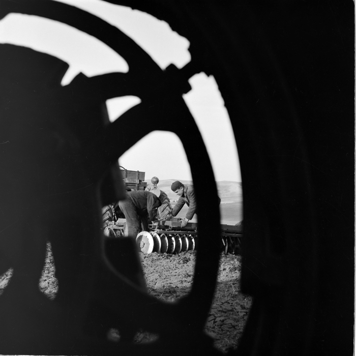 minerva_deak_f_c1_agrar-141