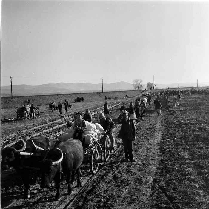 minerva_deak_f_c1_agrar-142