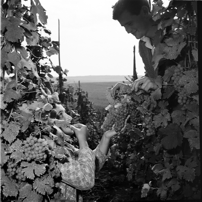 minerva_deak_f_c1_agrar-143