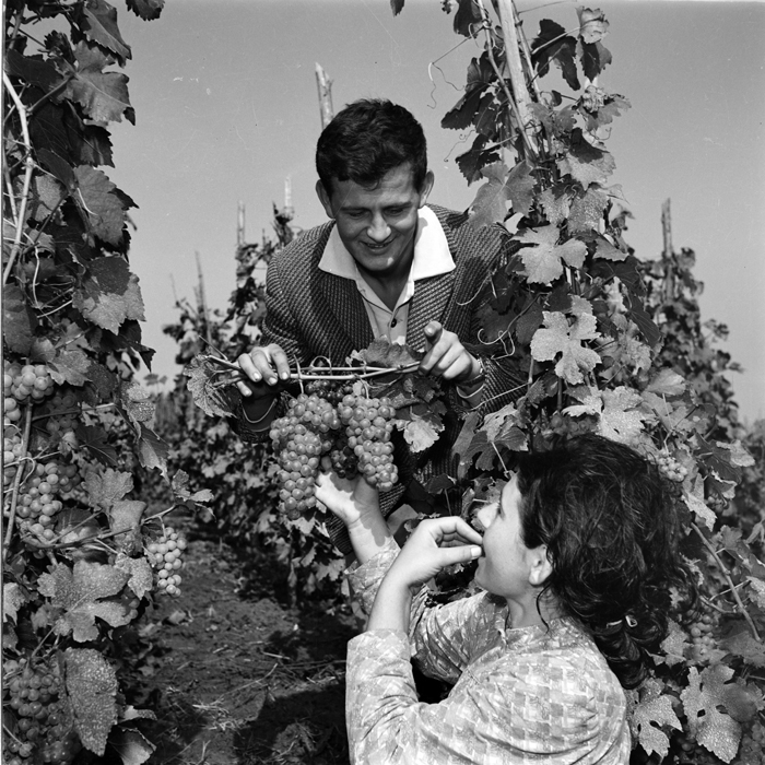 minerva_deak_f_c1_agrar-144