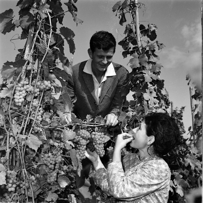 minerva_deak_f_c1_agrar-146