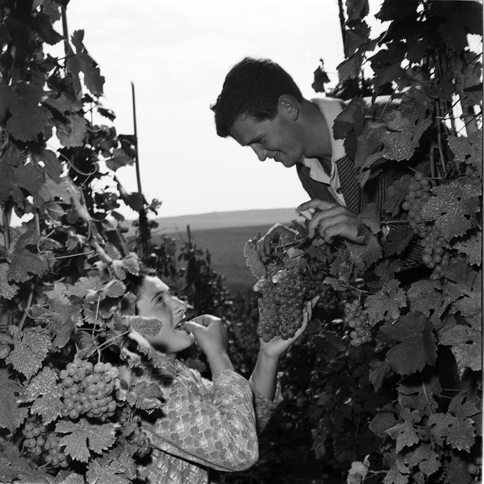 minerva_deak_f_c1_agrar-147