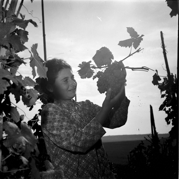 minerva_deak_f_c1_agrar-148