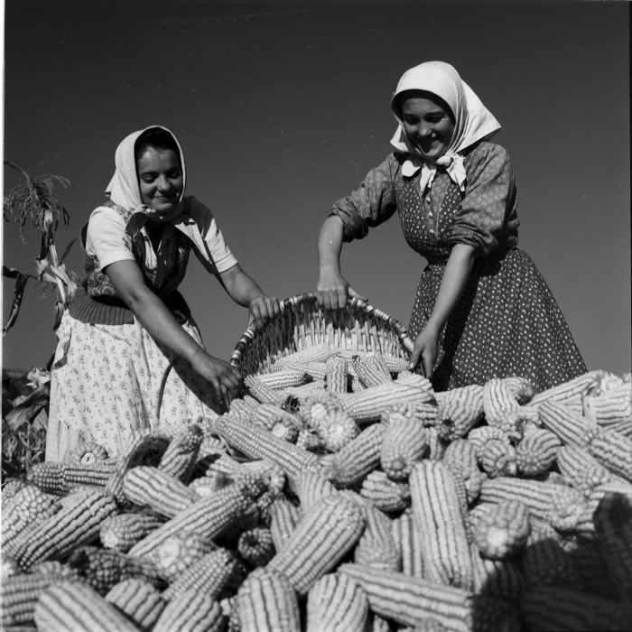 minerva_deak_f_c1_agrar-152