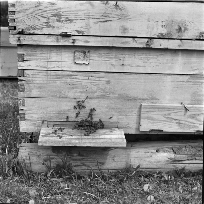 minerva_deak_f_c1_agrar-153