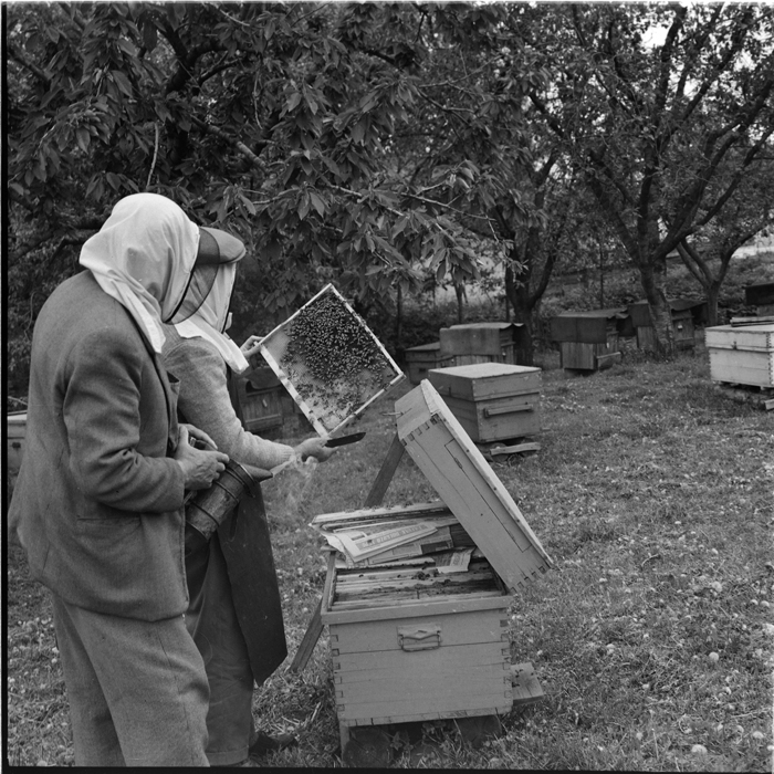 minerva_deak_f_c1_agrar-154