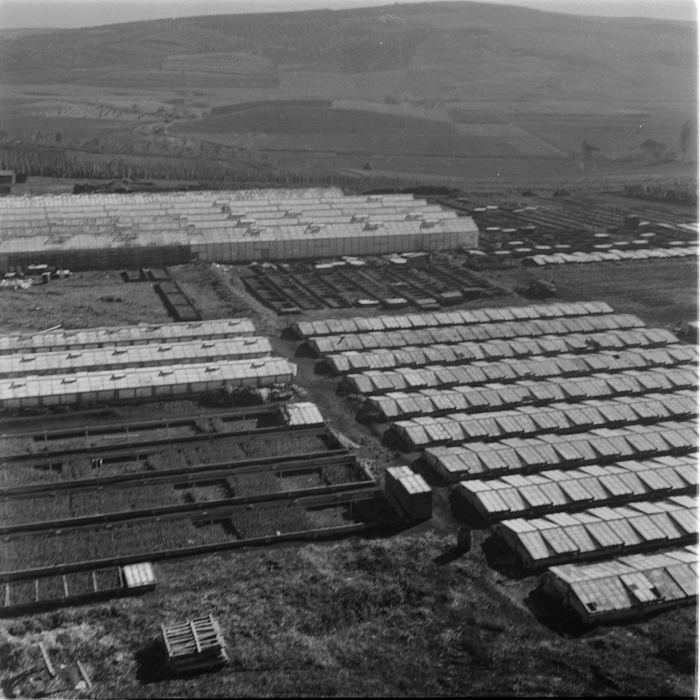 minerva_deak_f_c1_agrar-155