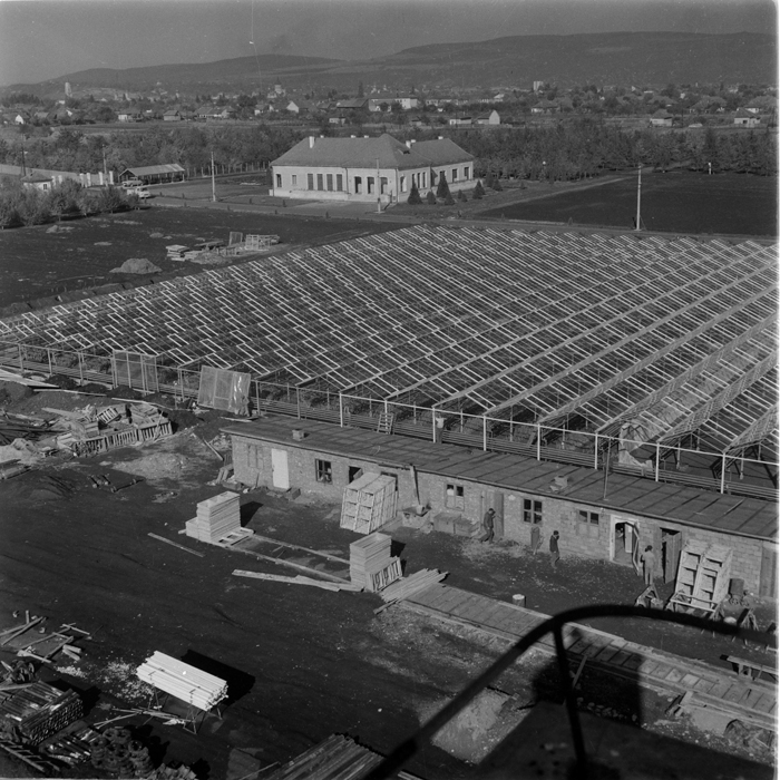 minerva_deak_f_c1_agrar-156