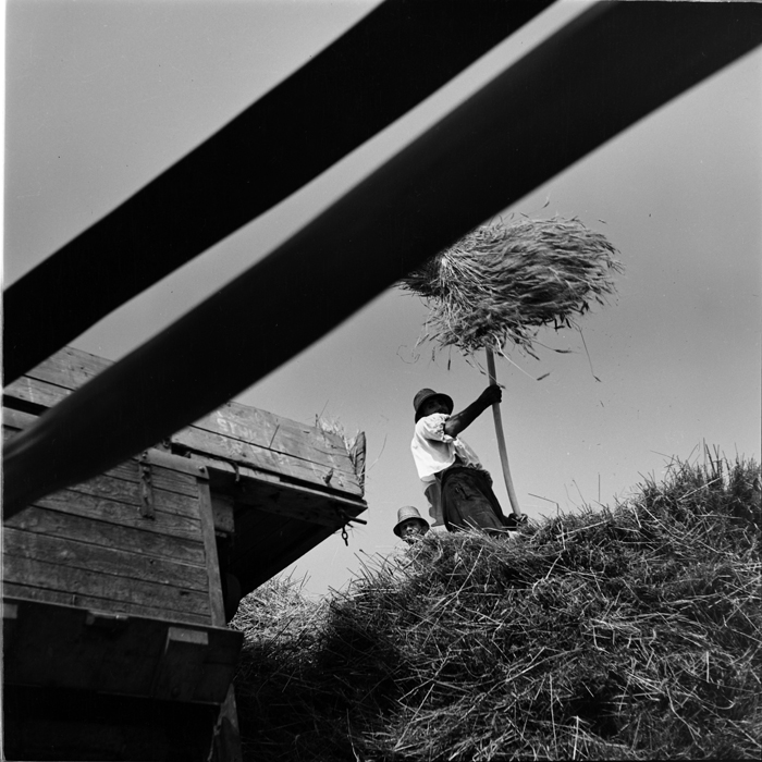 minerva_deak_f_c1_agrar-157