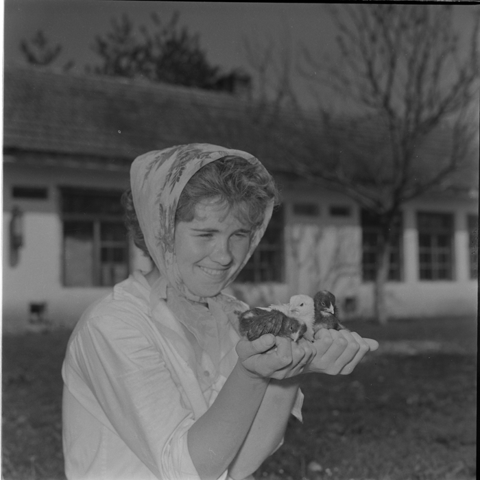 minerva_deak_f_c1_agrar-158