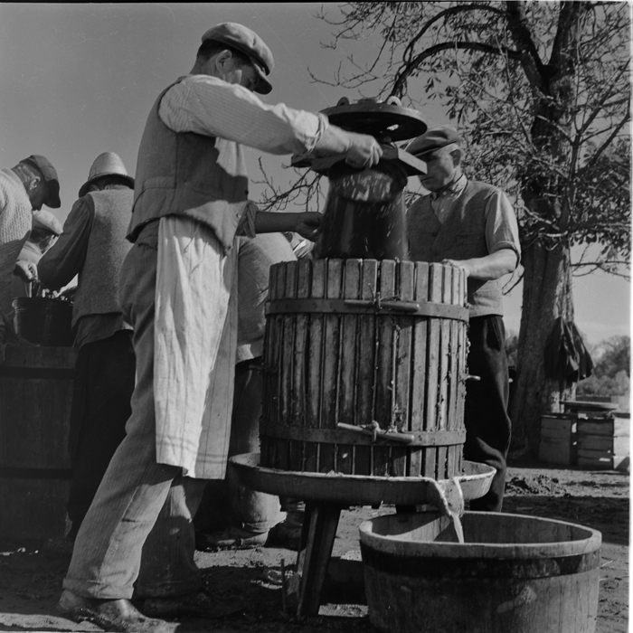 minerva_deak_f_c1_agrar-159