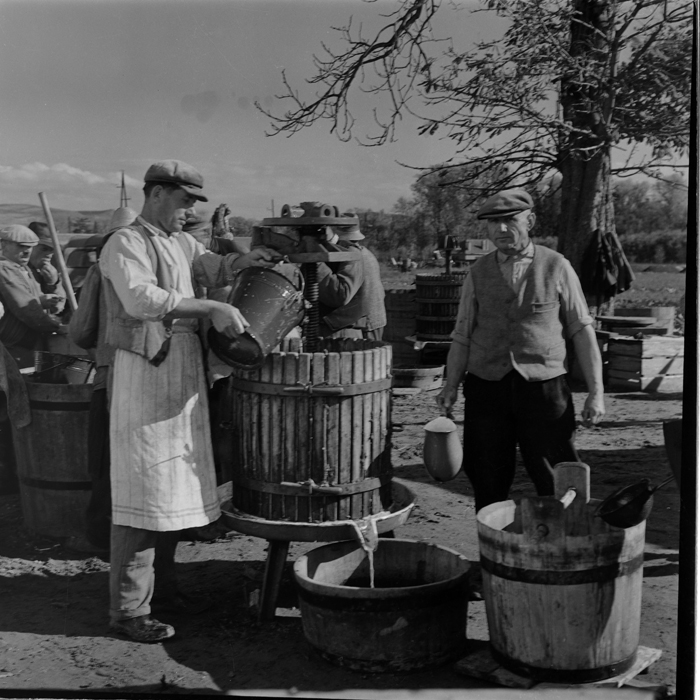 minerva_deak_f_c1_agrar-160